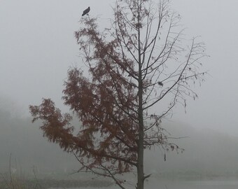 It supposed to be a summer day in the winter