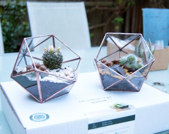 Small Glass Terrarium - Simple Icosahedron / Geometric Terrarium / Display Box / Candle Holder by Geodesium