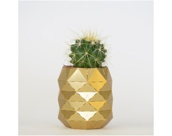 Brass pineapple plant pot with living cactus or succulent plant