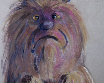 Portrait of Minnie, dog in a bad mood