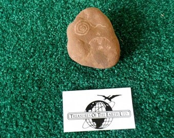 Faux Petroglyphs - Prepared on Sandstone