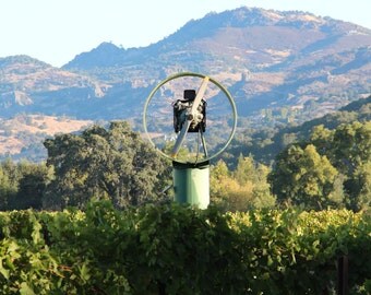 Napa Valley Art-NAPA VALLEY VINEYARDS