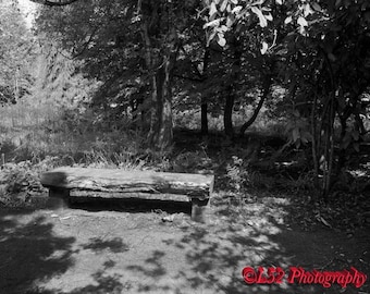 Black and White Photographic print - Old Bench in woods
