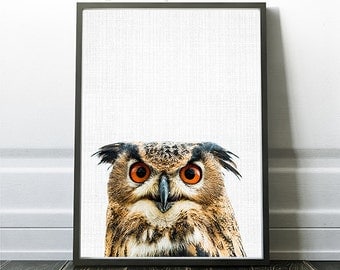 Owl Print, Owl Nursery Decor Print, Owl Artwork, Owl Poster, Owl Wall Art, Instant Owl Art, Printable Owl, Woodland Owl, Owl Decor Prints