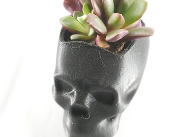 3d Printed Skull Planter! Great For Succulents Indoor Or Outdoor