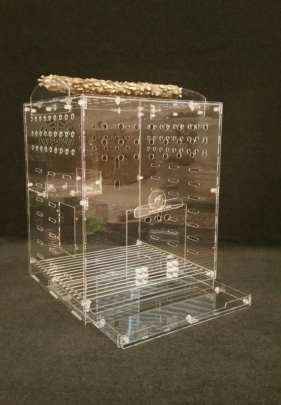 Acrylic bird carrier Clearance