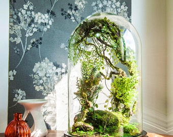 Forest terrarium of artificial plants, Cabinet of curiosity, dome Bell glass, anniversary gift wedding, Christmas decoration