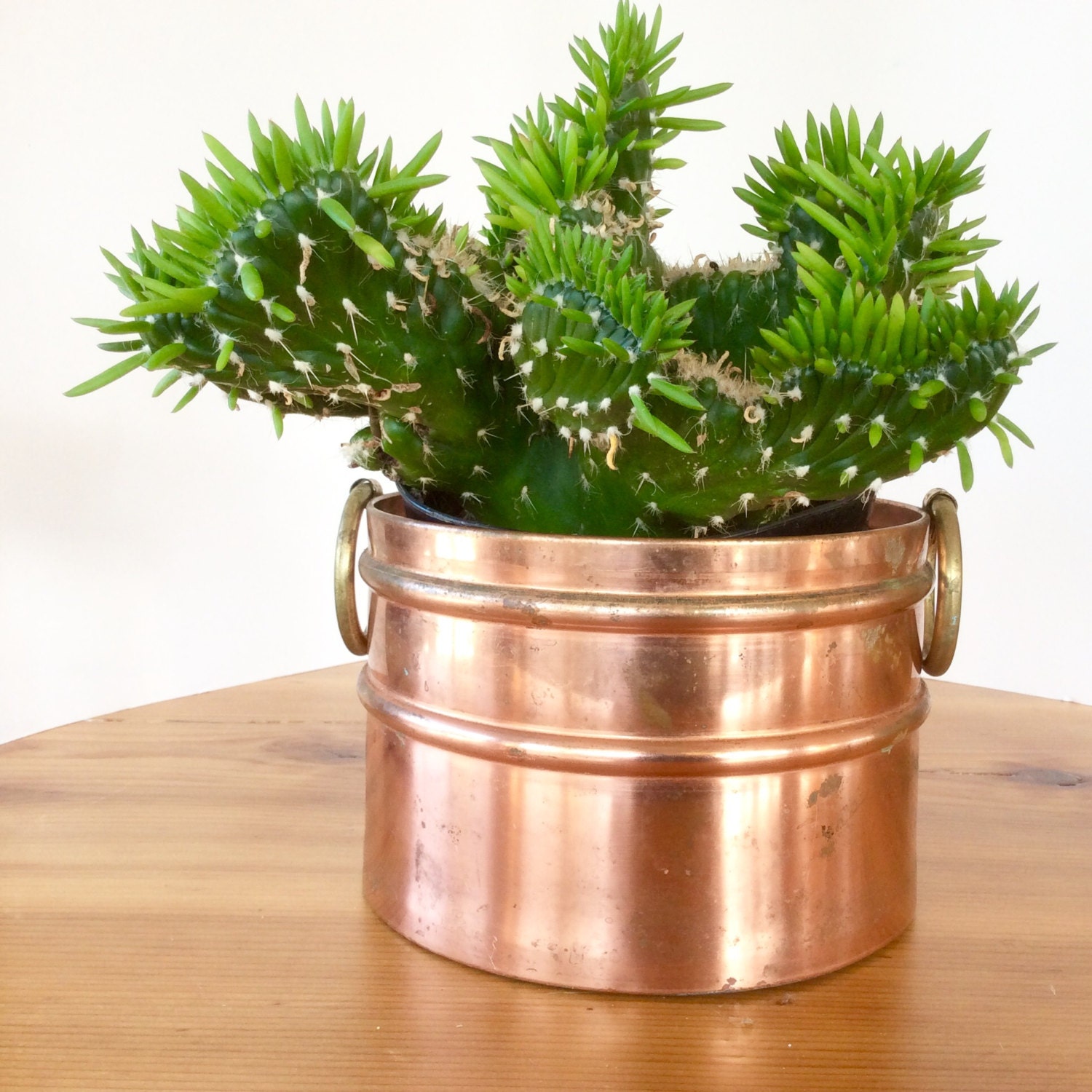 Copper Planter. Vintage Copper Pot. 6 inch Copper and Brass