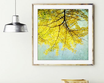 Botanical photography print lemon yellow blue ginkgo leaves tree wall art - Ginkgo