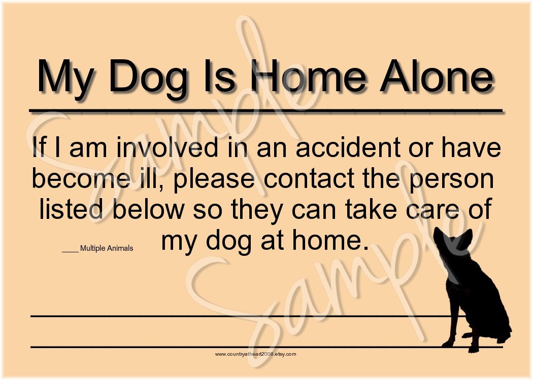 emergency-card-my-dog-is-home-alone-2-5-x-3-5-inches