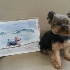 Buyer photo pjm074, who reviewed this item with the Etsy app for Android.