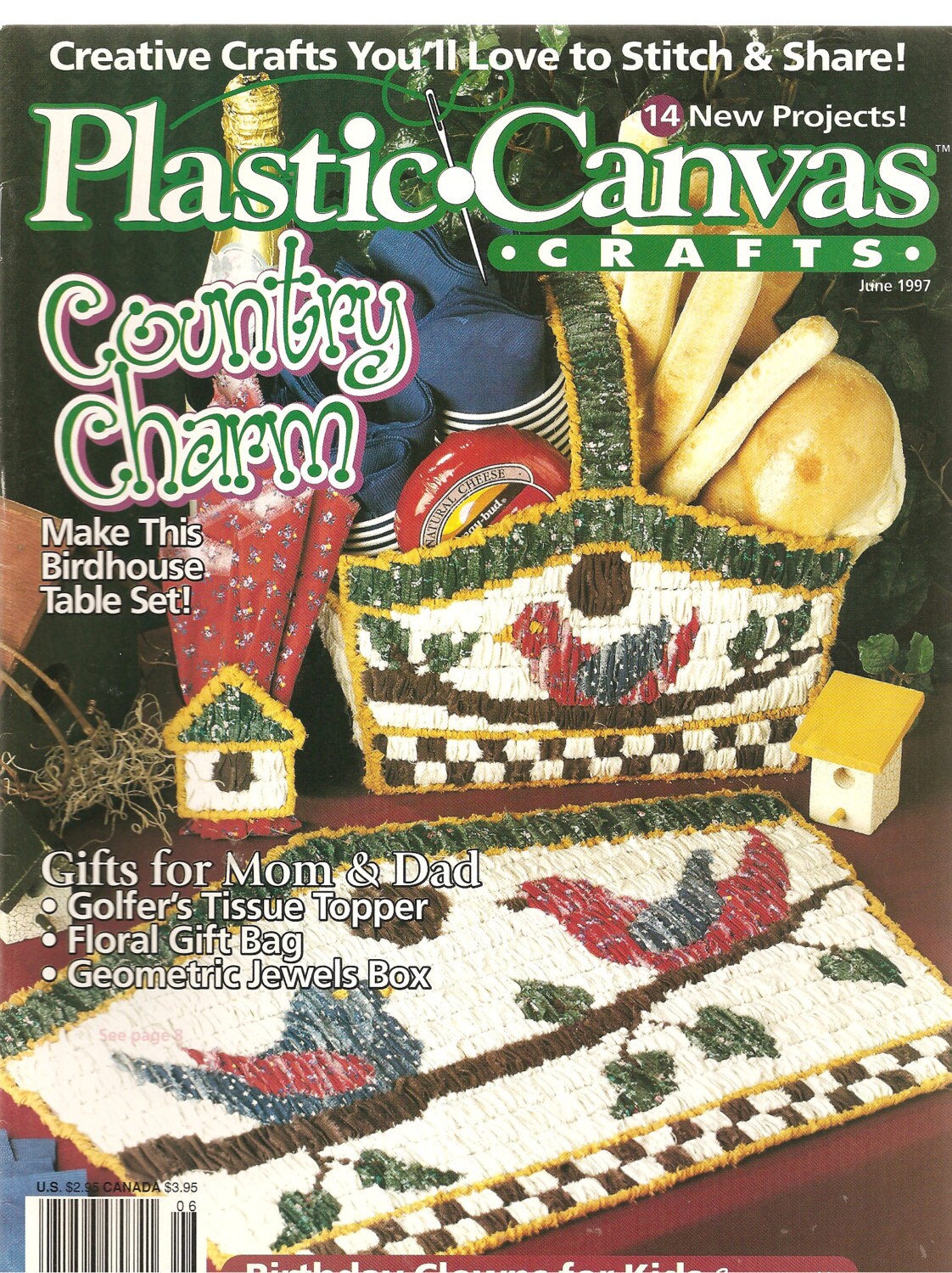 Plastic canvas crafts