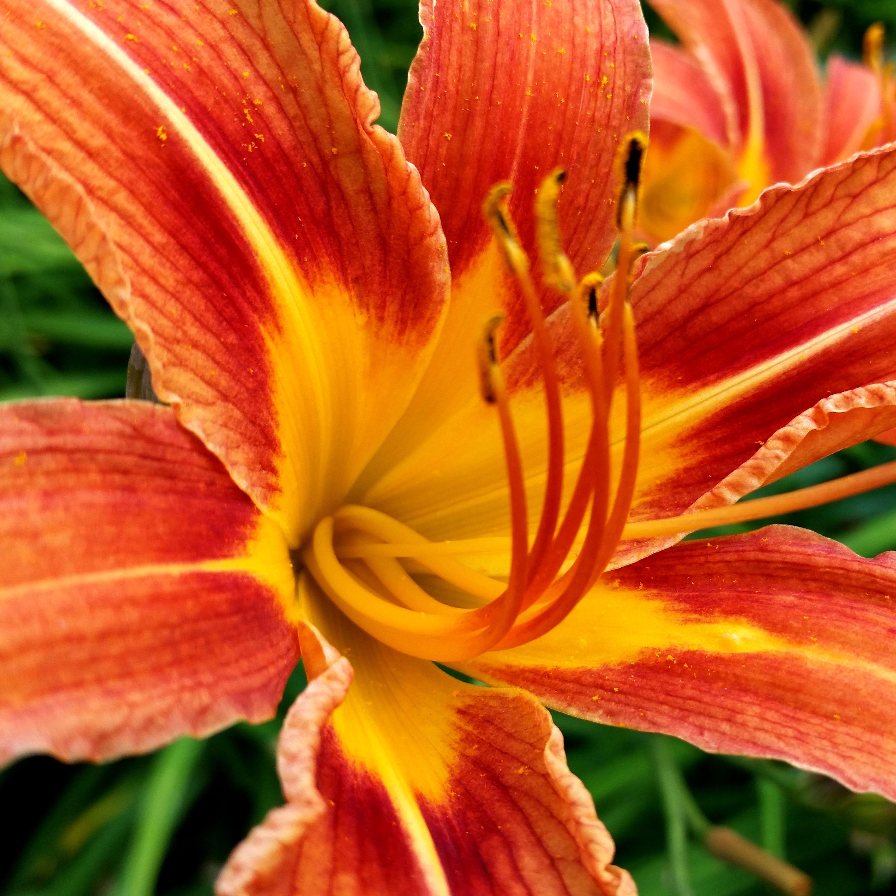 Mystic Lily Designs and Vintage Finds by MysticLily on Etsy