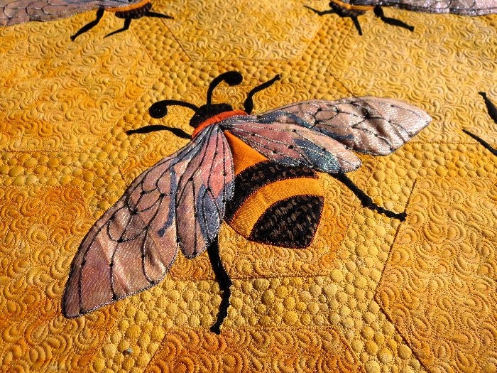 Quilting bee фиалка фото