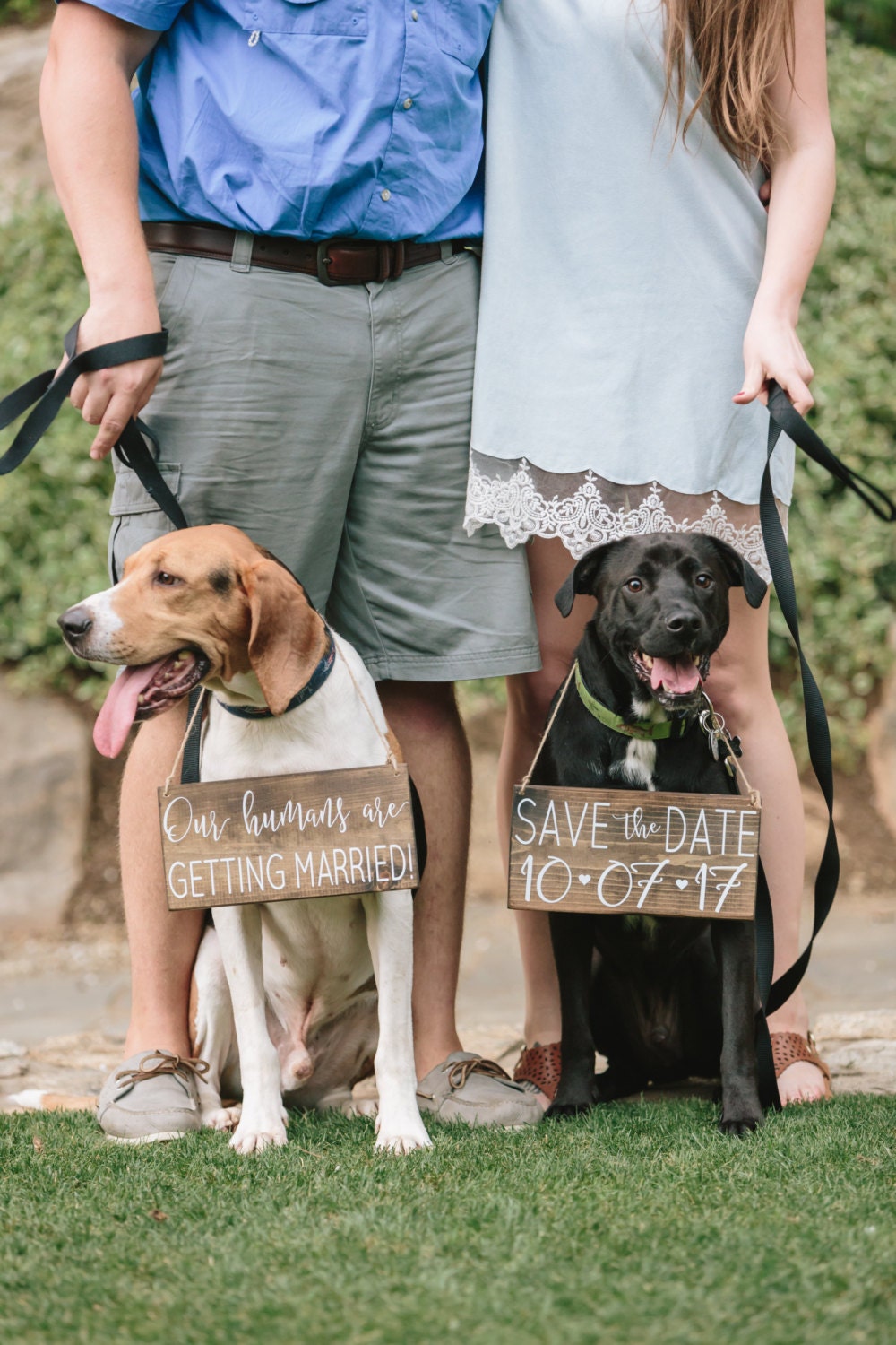 Pet SaVe THe DaTe SiGn Dog PHoTo PRoP SiGn Calligraphy