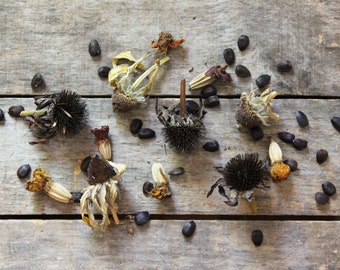 SALE Flower Seeds, organic heirloom seeds, one muslin bag of previous seasons seeds from our farmstead, flower garden, gardener gift