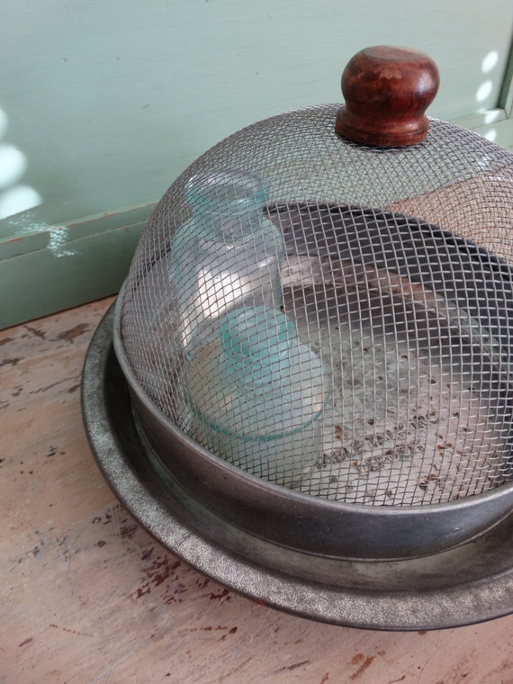 Rustic Wire Mesh Dome Food Cover with by TheWellSeasonedNest