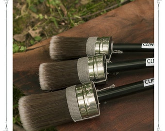 The Cling On Paint Brush