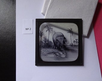 Magic Lantern Slide, Victorian Glass Slides, Victorian Toys, Elephants Revenge, Lantern Slides No. 2