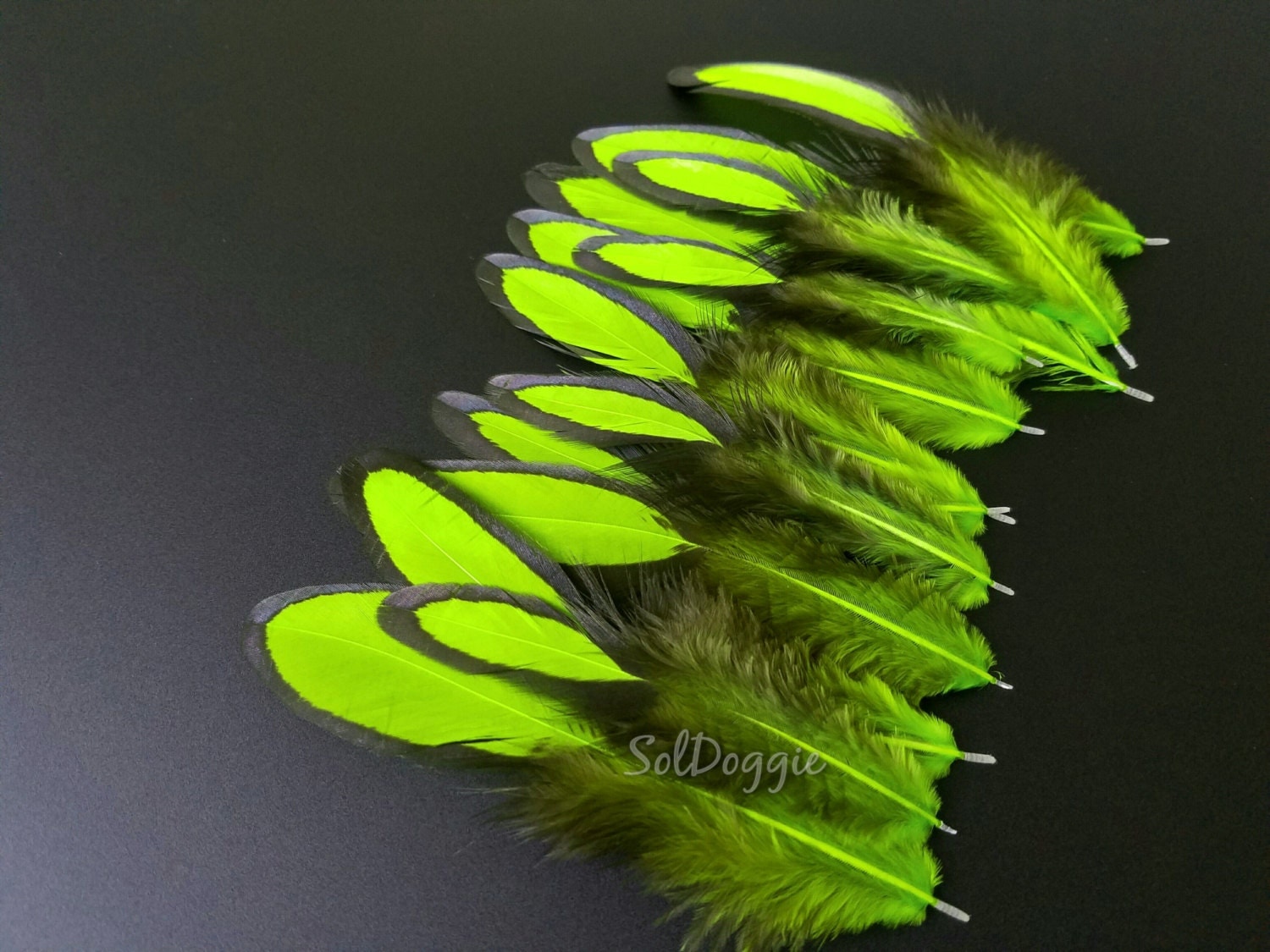 Bright Lime Green Feathers Craft Feathers