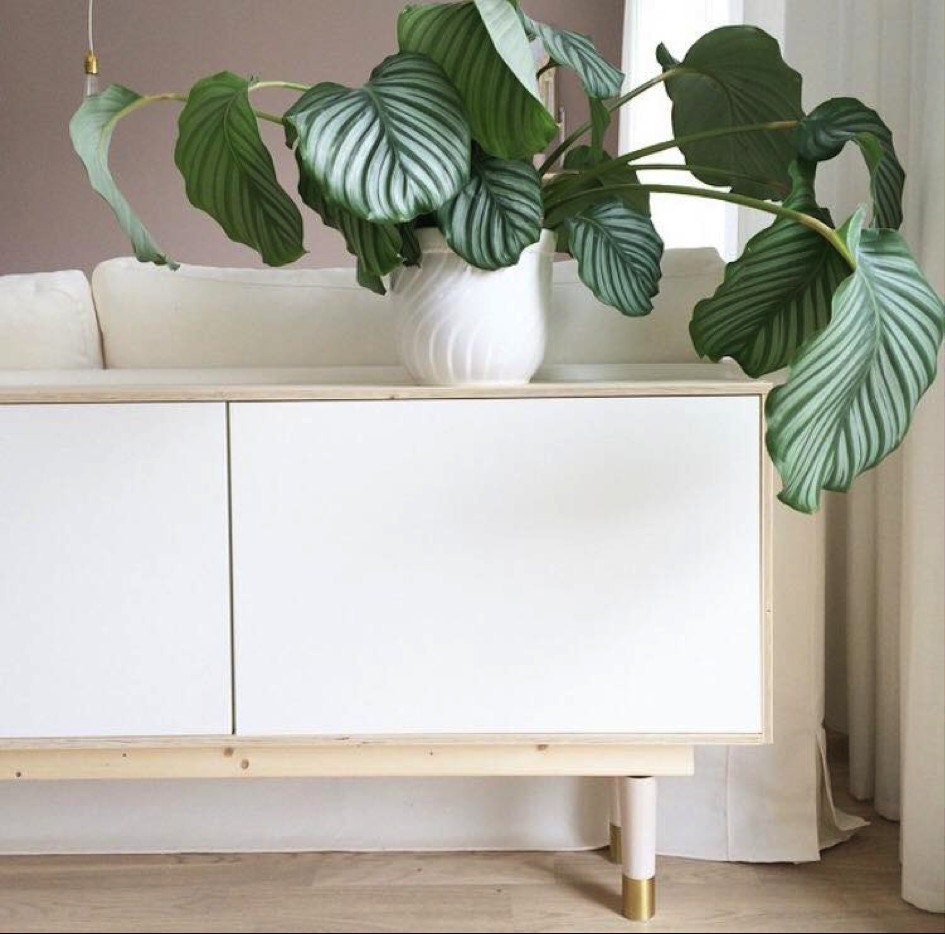 ikea lokks to further penetrate the us market Ikea looks to furture penetrate the u ikea looks market strengths proposed expansion and further integration/penetration within the united states market. ikea lokks to further penetrate the us market Ikea looks to furture penetrate the u ikea looks market strengths proposed expansion and further integration/penetration within the united states market.