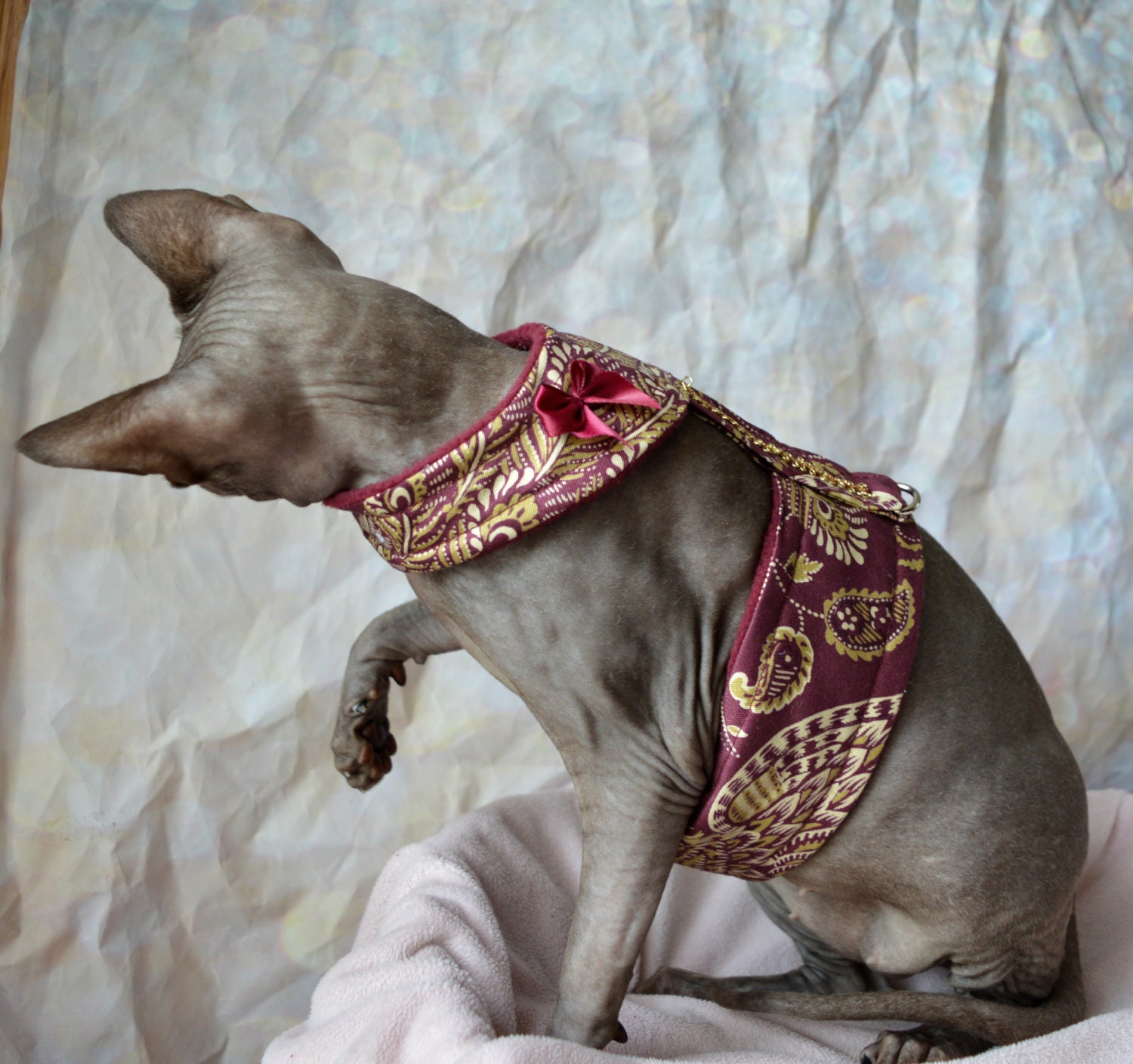 luxury harness for sphynx cat