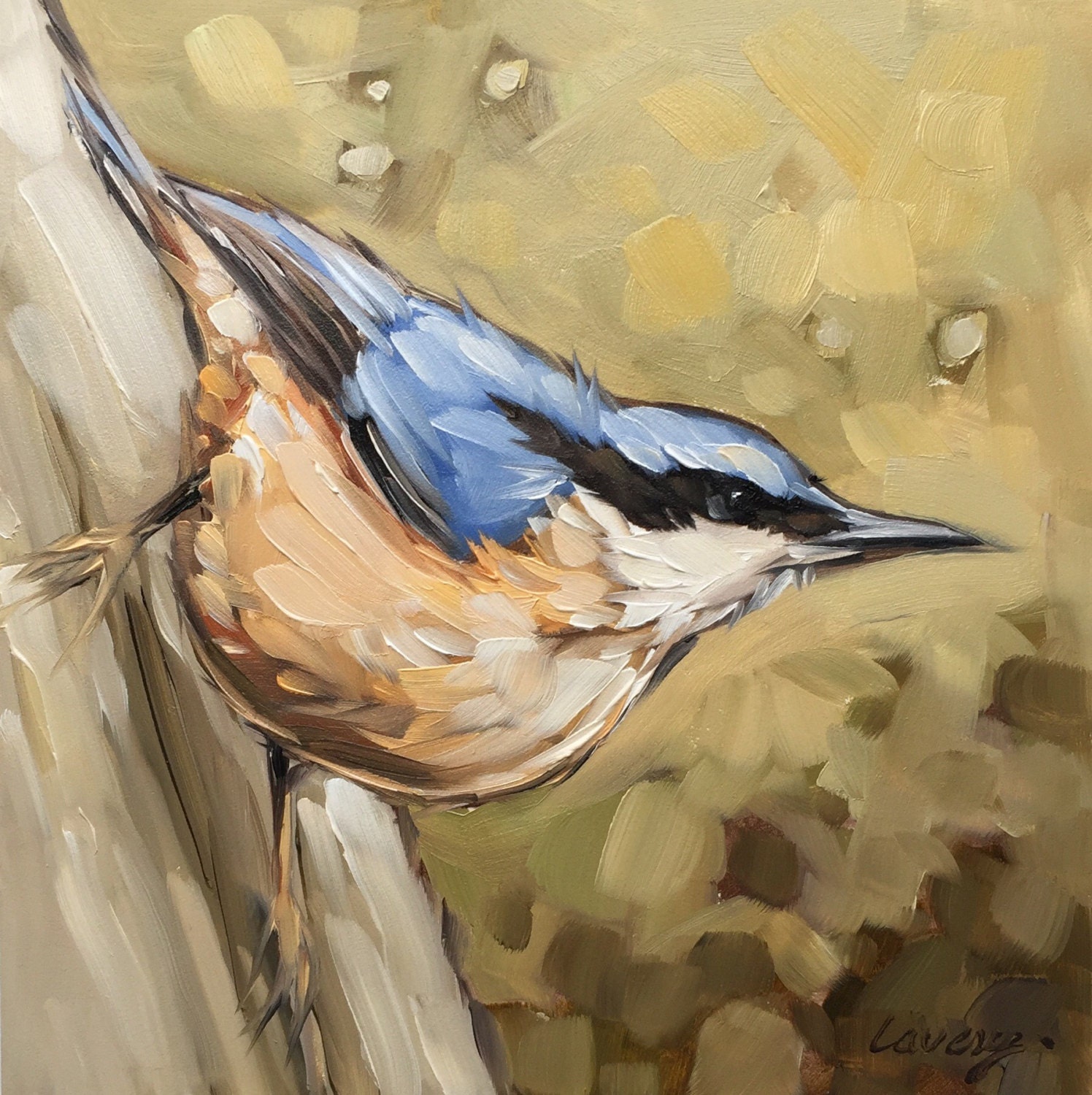 Nuthatch bird painting Original oil painting of a Nuthatch