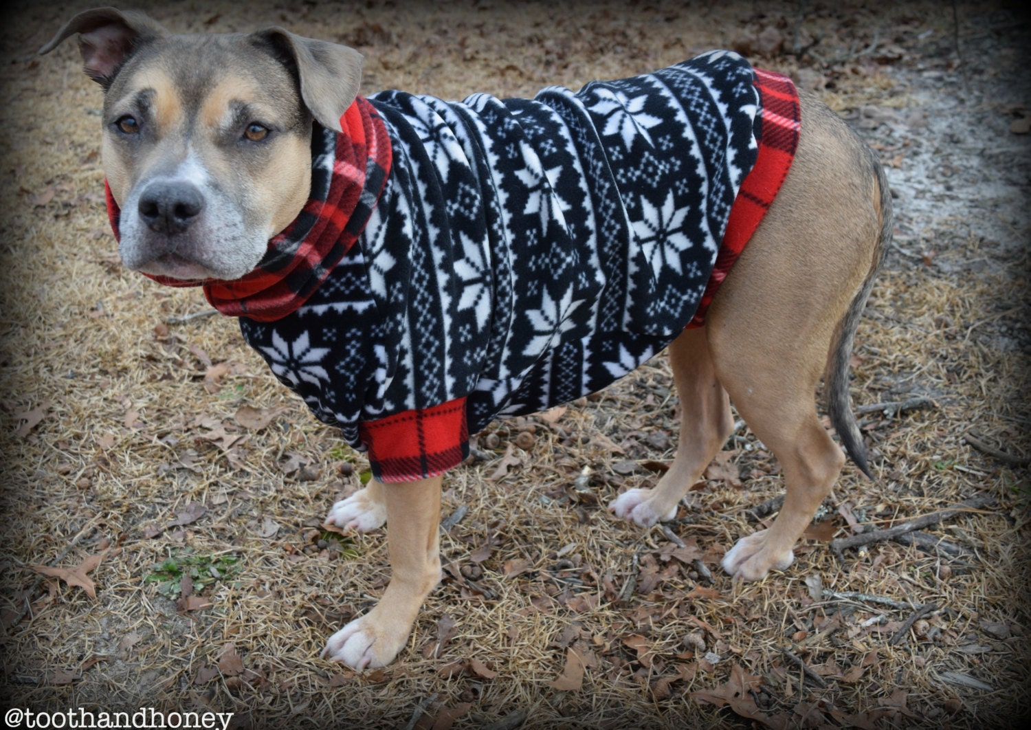 cheap dog sweaters for pitbulls women