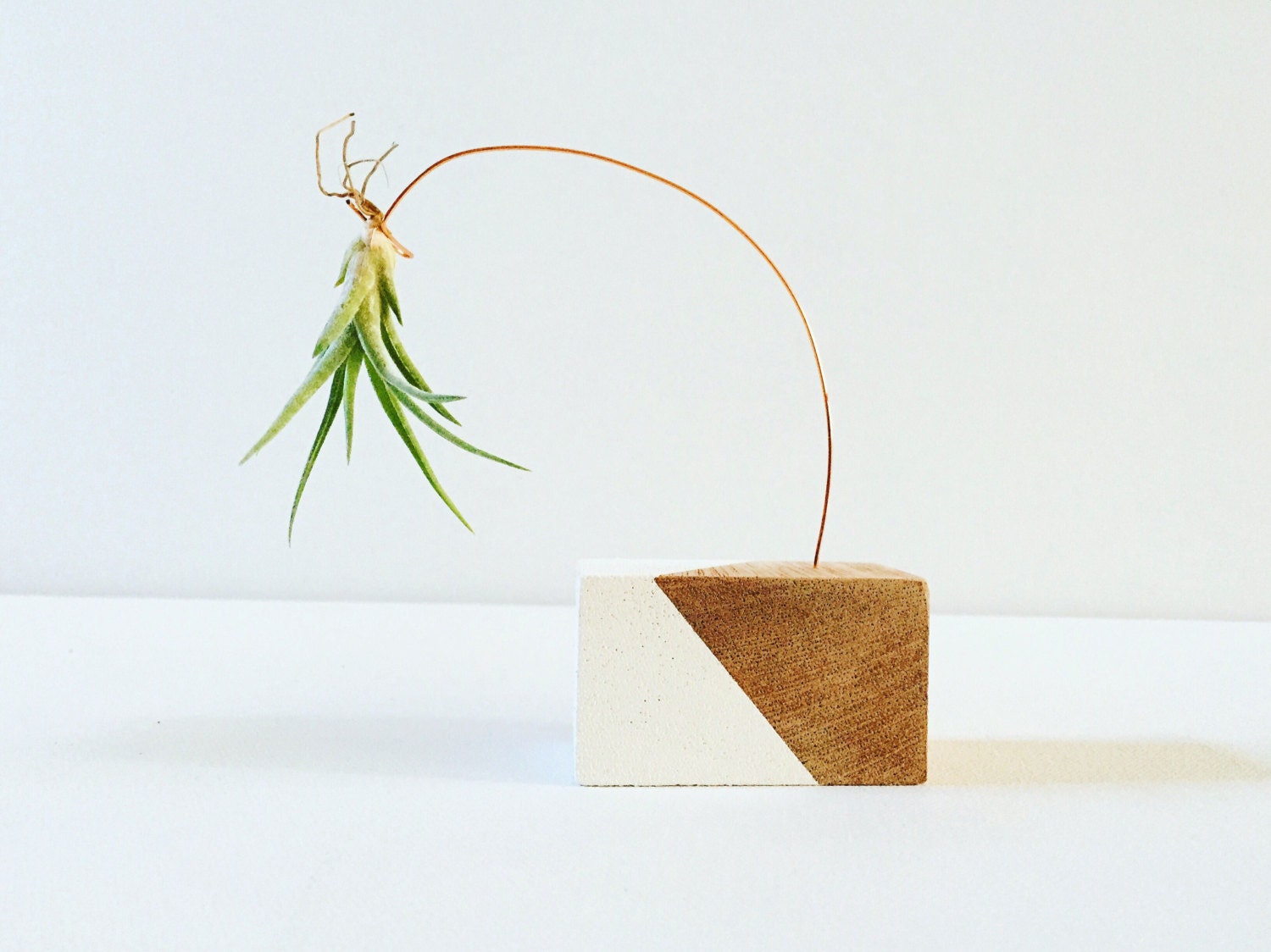Copper Wire Mahogany Air Plant Holder Hanging by HarpAndLyreCo