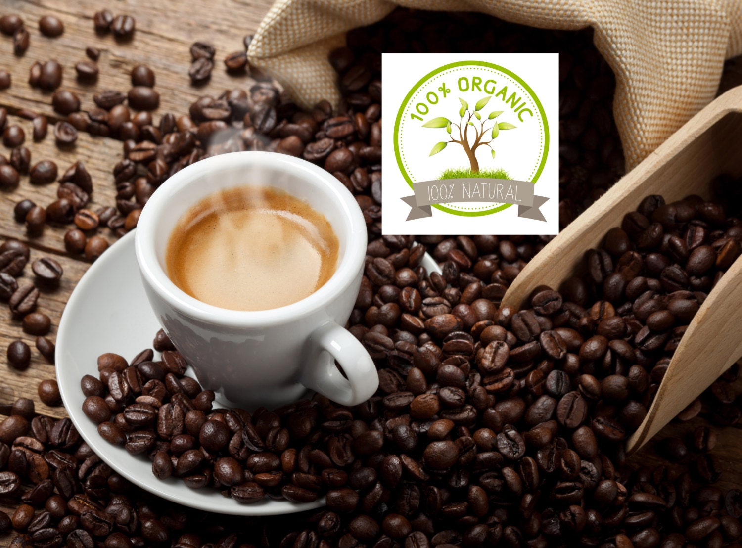 Organic Coffee Mexico Chiapas OrganicFresh Roasted by CoffeeNook