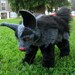 OOAK Pokemon Mightyena posable art doll
