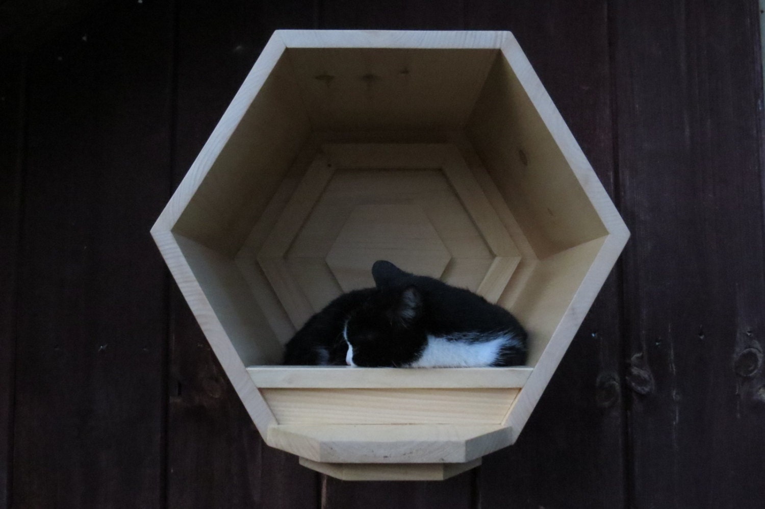Cat Cubby 30 OFF cat shelf cat house cat cave by EONeyeofnature
