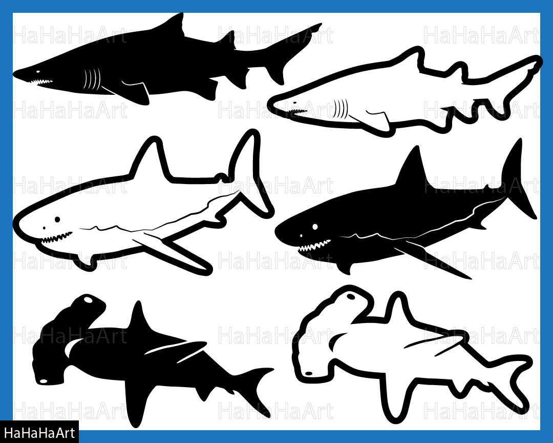 Download Shark Monogram Cutting Files Svg Pdf Png Jpg Eps Dxf Digital