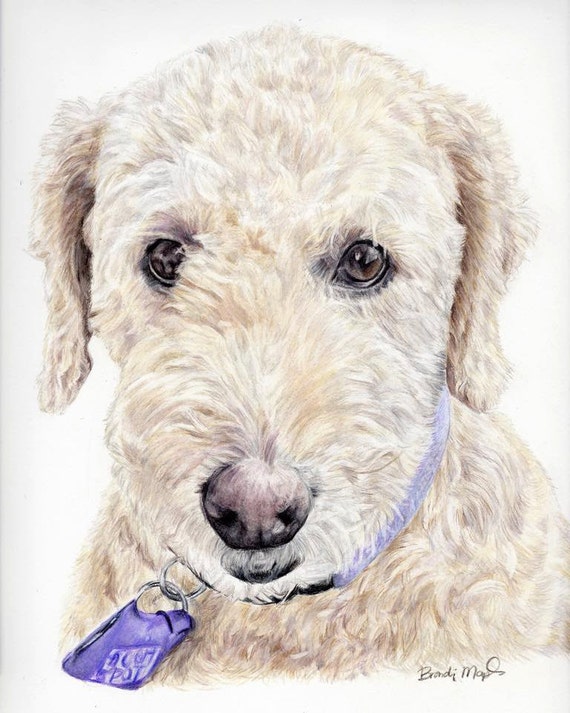 Items similar to Dog Portrait-colored pencil dog drawing - pencil 