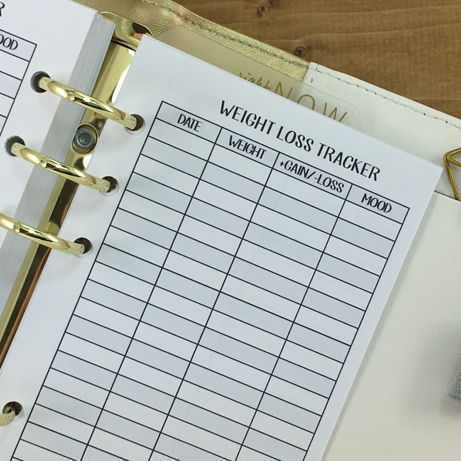 Personal Weight Loss Tracker printed planner insert weight