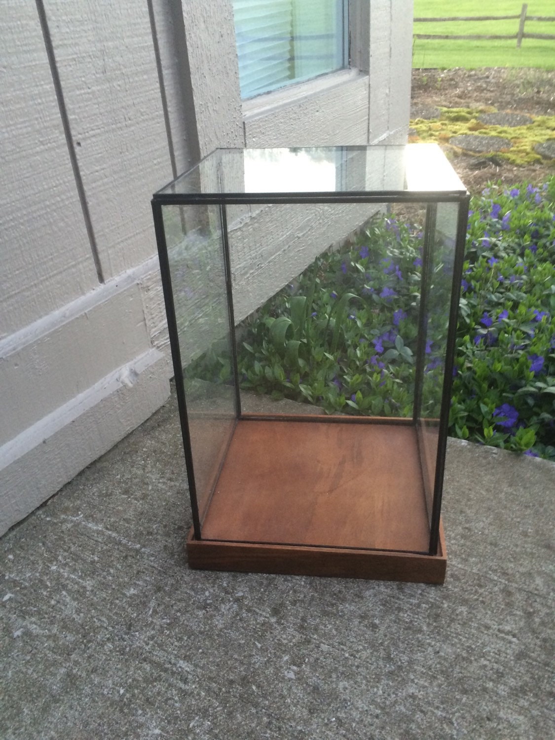 Extra Large Black Metal and Glass Terrarium with Wooden Base