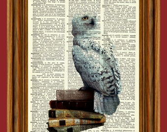 Hedwig Owl Upcycled Dictionary Art Print Poster