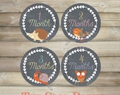 Baby Monthly Stickers ,baby month stickers,baby month stickers boy,baby month stickers girl,printable baby month stickers
