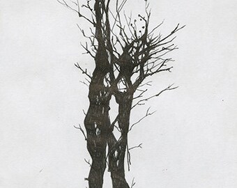 FibroFigure #10 (Original Drawing)