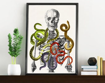 Summer Sale Skeleton with snakes, Wild nature print, Anatomical art print, Art and collectibles- Anatomical skeleton print WSK172