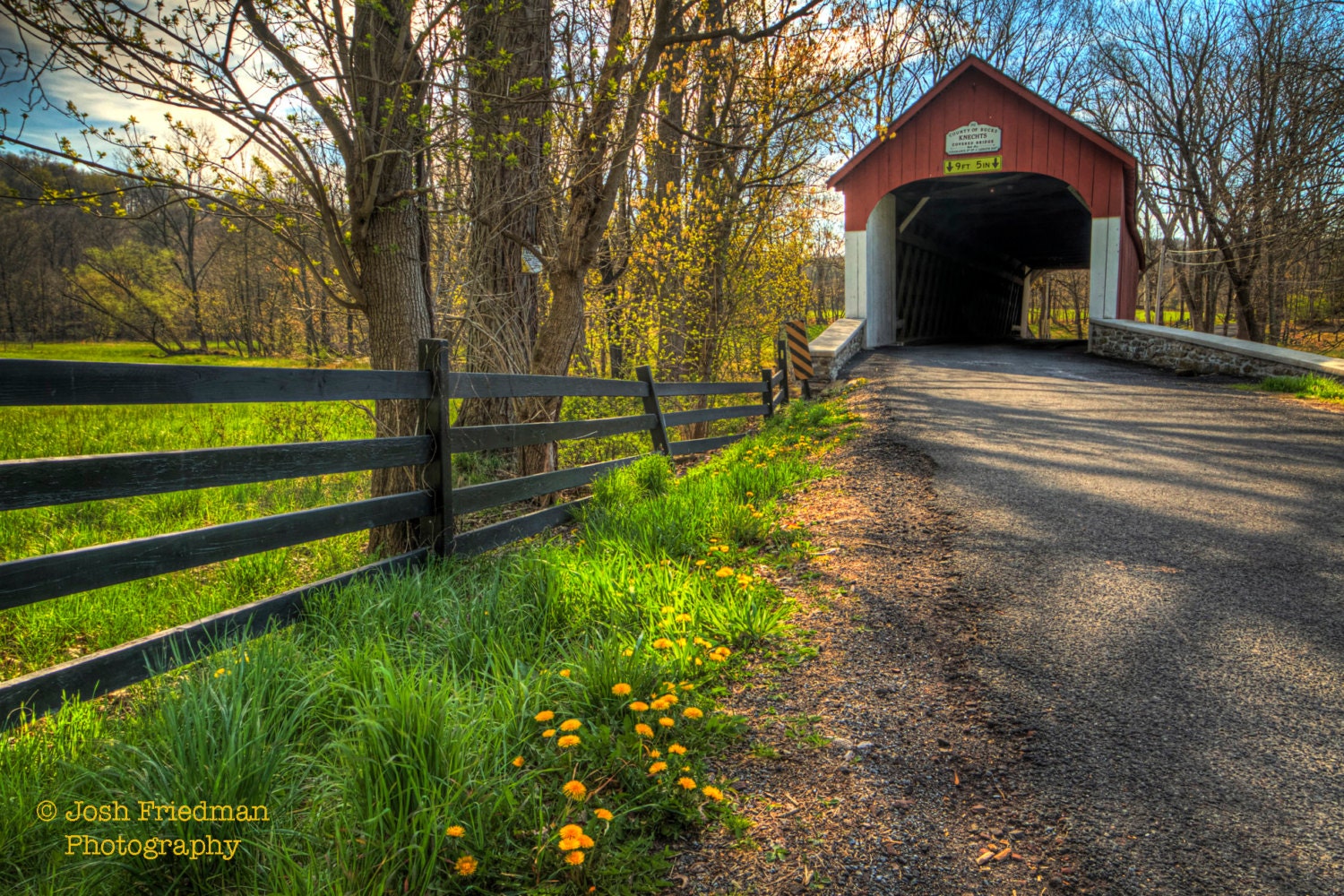 Knecht Covered Bridge in Spring Fine Art Photograph Flowers