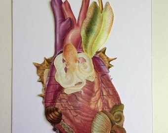 Anatomical Heart collage #1 by Bedelgeuse
