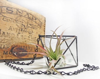 Hanging Terrarium / Small Geometric Terrarium Container / Octahedron