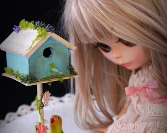 25% discount Miniature bird house