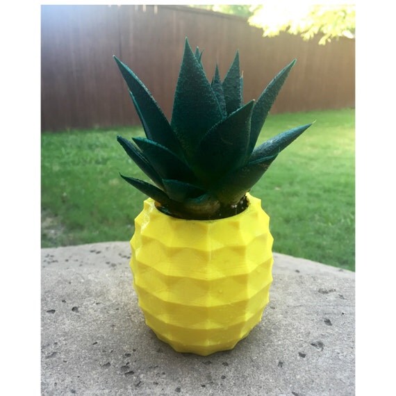 Pineapple Succulent Planter 3d Printed Modern Pot By Creationbay 4154