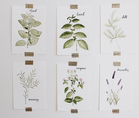 Hand Painted Watercolor Herb Set