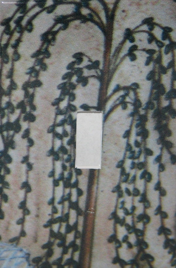 Willow Tree Single Switch plate Light Cover