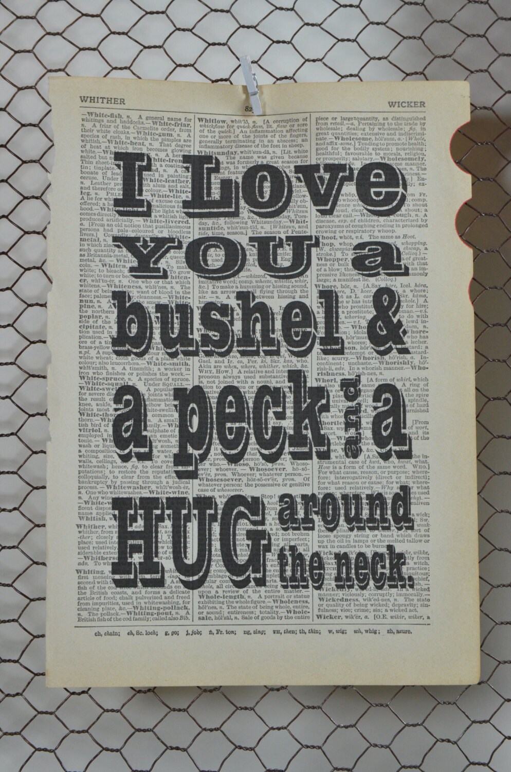 Bushel and a Peck Dictionary Print