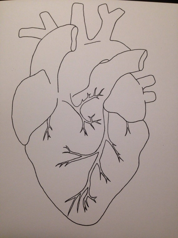 Anatomical Heart Print