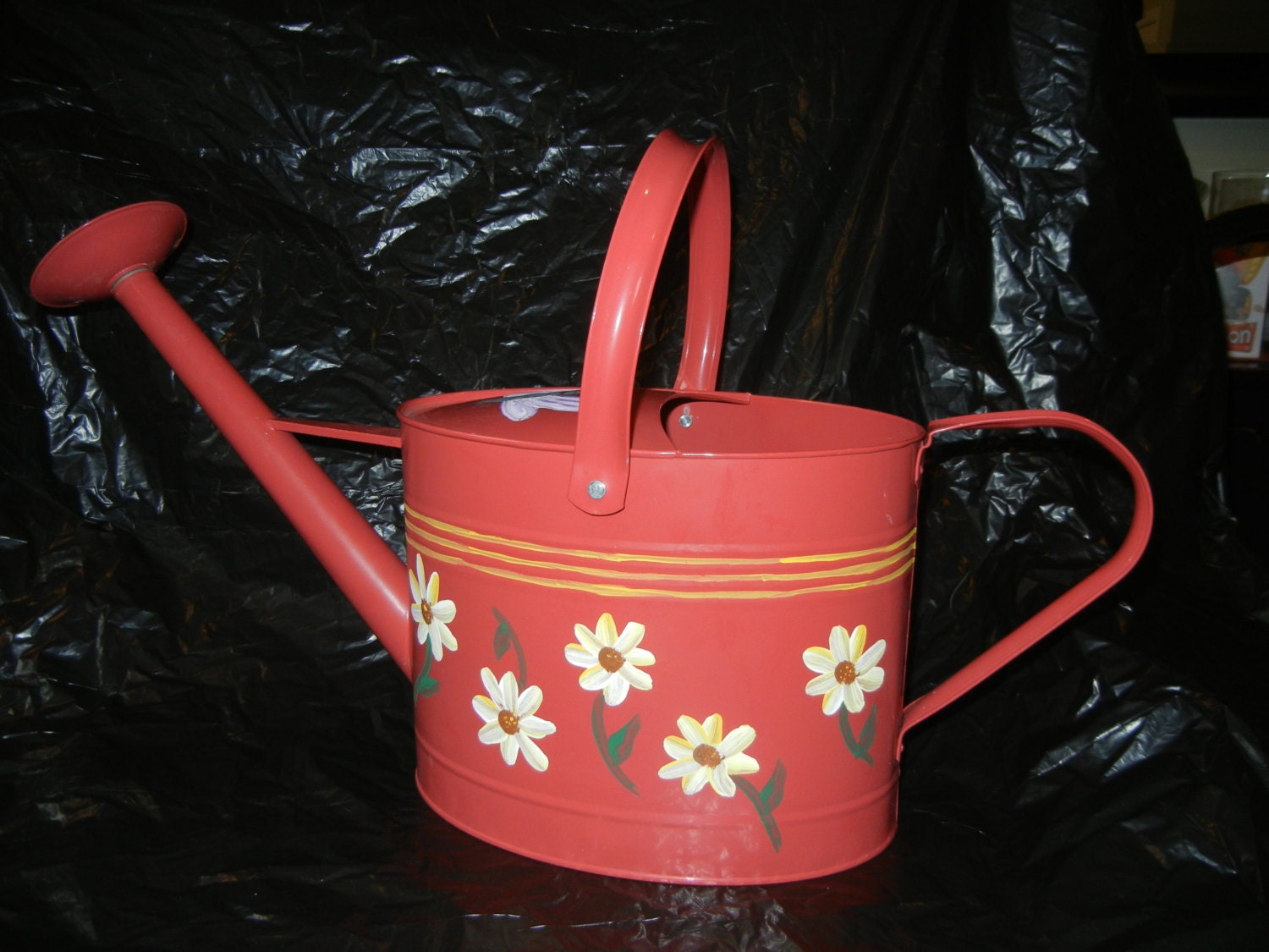 Hand Painted Watering Can